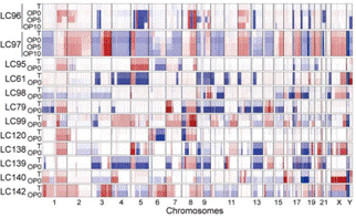 1620511380(1) 1620511380(1)