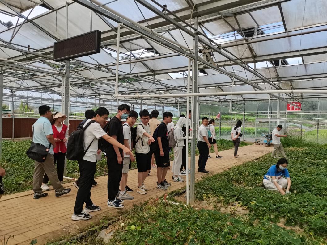 20220808-0814-开云线上（中国）网页版“林枫计划”师生赴江西赣县区调研实践-马小涵摄-支队师生参观五云镇夏潭村蔬菜研学基地.jpg