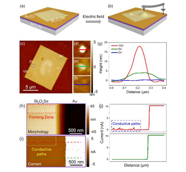 20210902-陈文骏-循环电场下二维Bi2O2Se表面纳米山丘状结构和导电通路的形成-国际院.jpg 20210902-陈文骏-循环电场下二维Bi2O2Se表面纳米山丘状结构和导电通路的形成-国际院.jpg